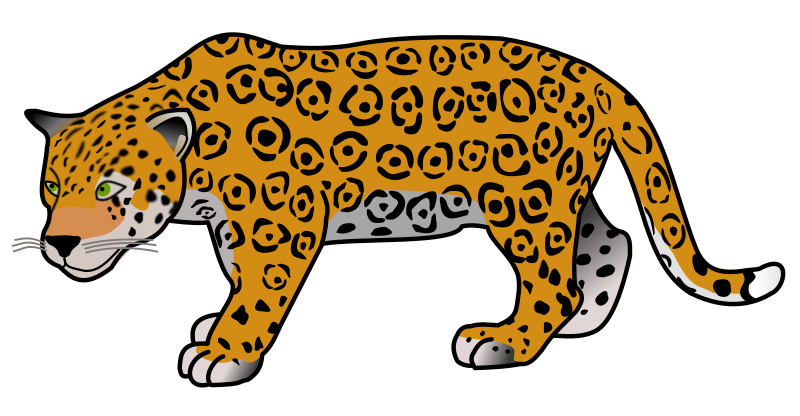 jaguar animal clipart - photo #1