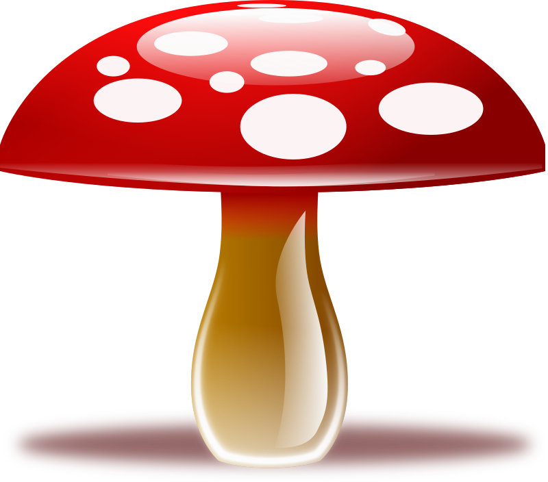 mushroom clipart picture - photo #28