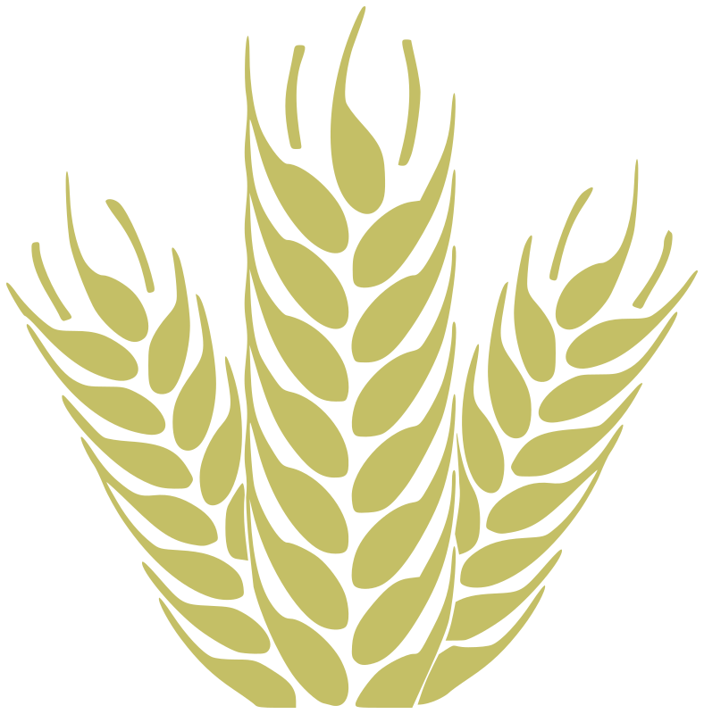 clipart of wheat - photo #18