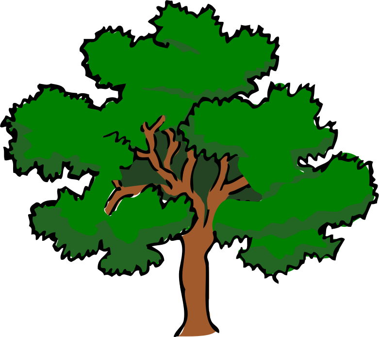 free clipart elm tree - photo #46