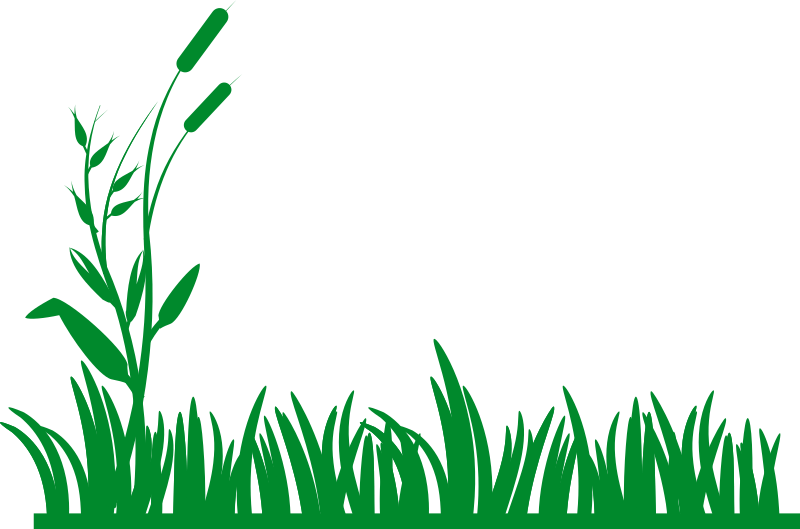 png clipart grass - photo #46