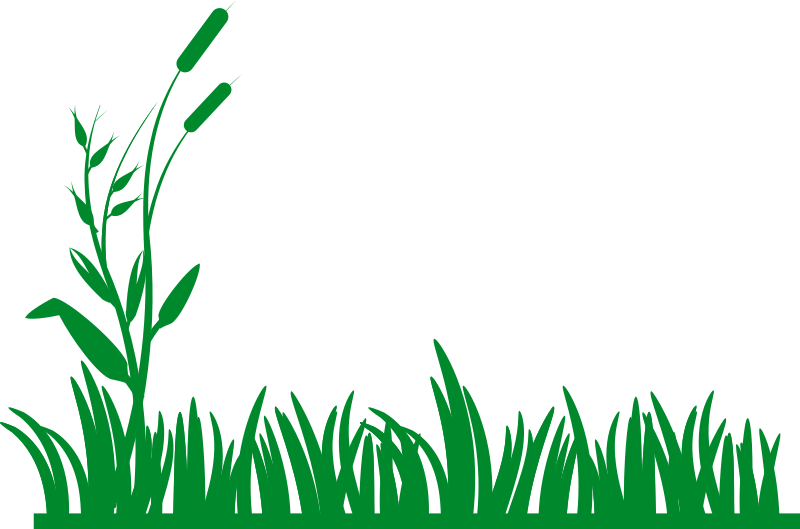 free clip art grass border - photo #8