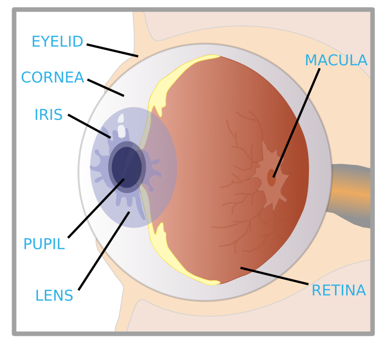 The Eye 10 - Wikipedia