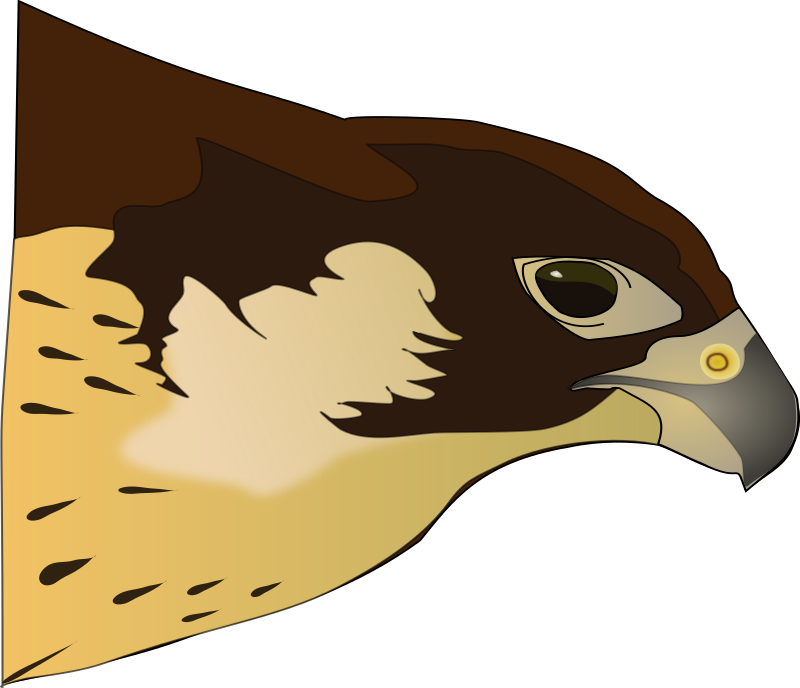 Halcón-Hawk