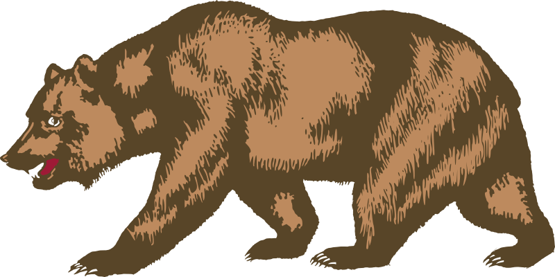 Flag of California - Bear