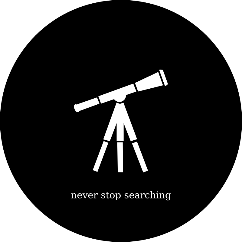 Never Stop Searching