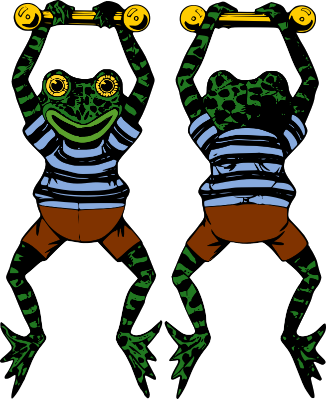 Acrobat Frog