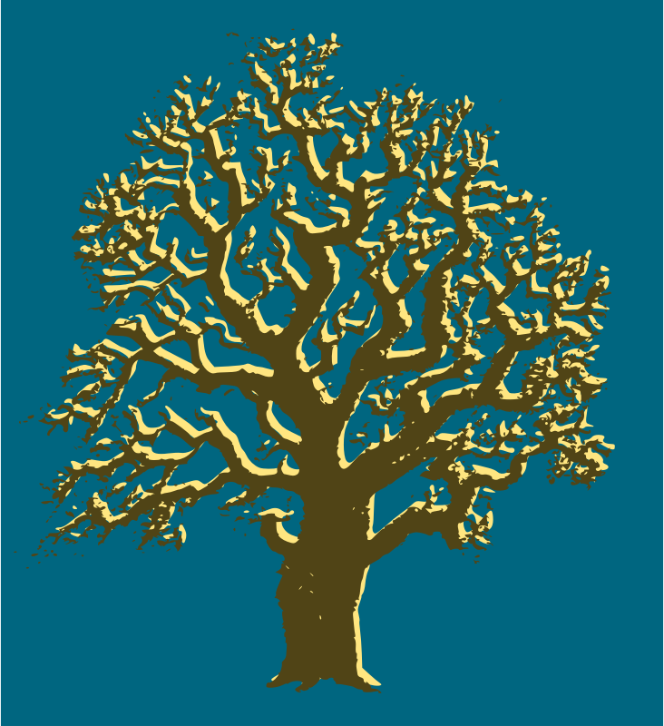 Oak Tree - 3 Colours