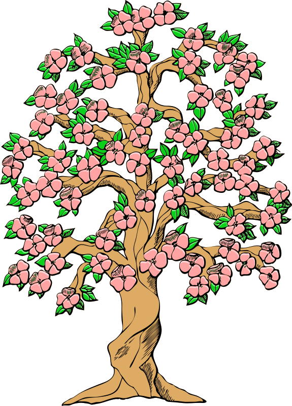 flowering tree color
