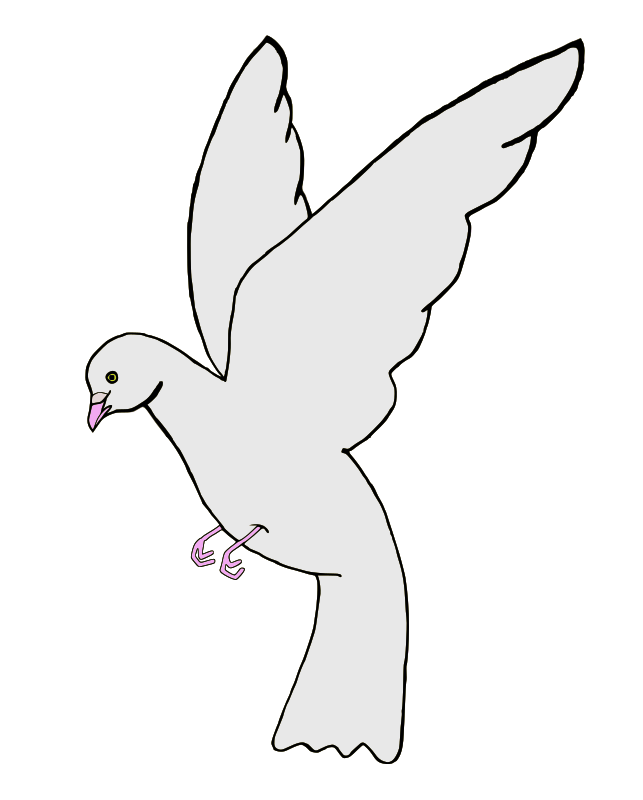 paloma (dove)