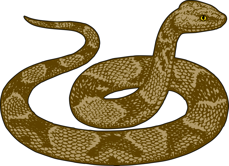 Copperhead Snake