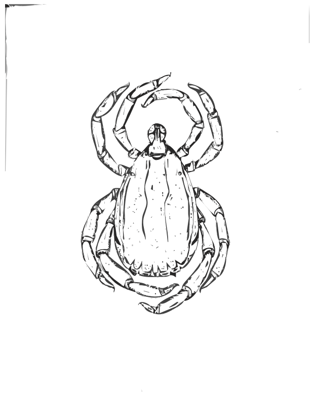 Tick image for clip art (UNCLASSIFIED)