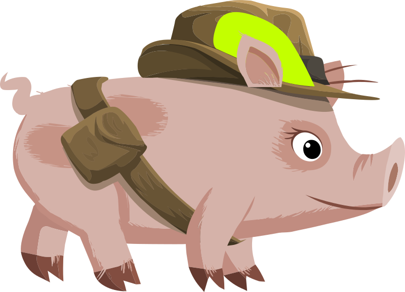 Inhabitants Npc Piggy Explorer