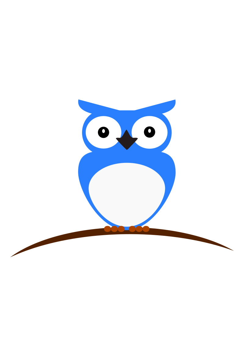 Blue & White Owl