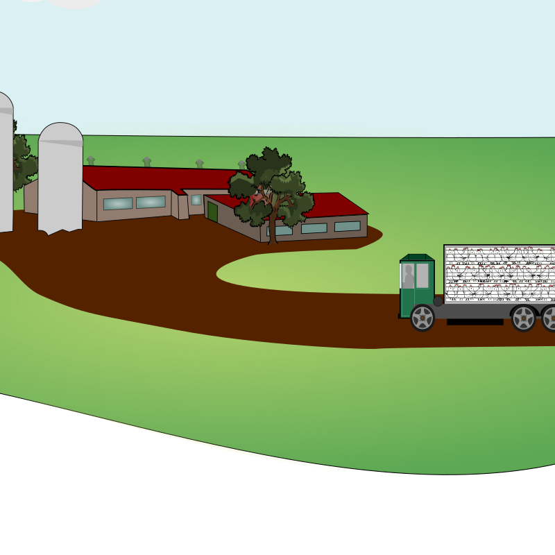 Truck transports animals to industrial farm
