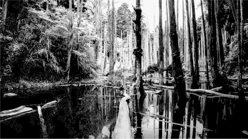 Swamp Grayscale