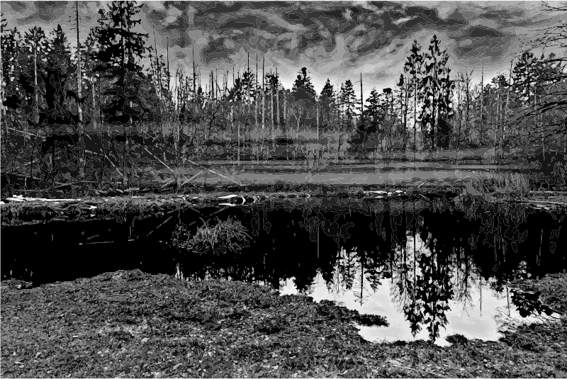 Swamp 3 Grayscale 