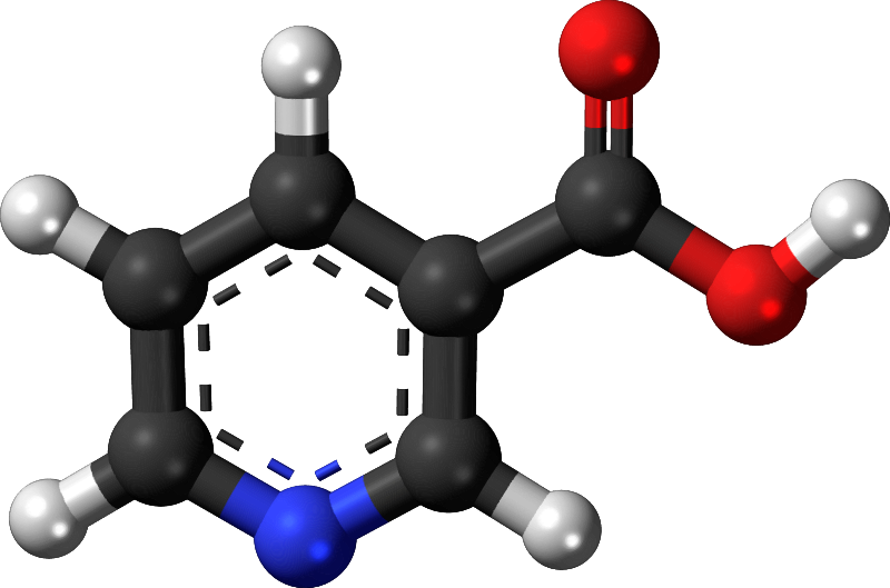 Famous (and infamous) molecules 19 - vitamin B3