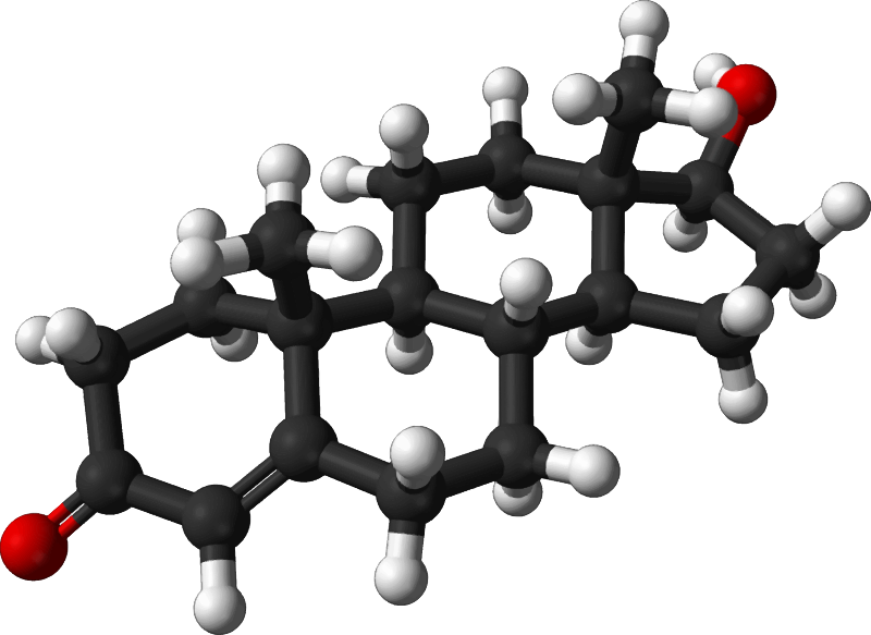 Famous (and infamous) molecules 29 - testosterone