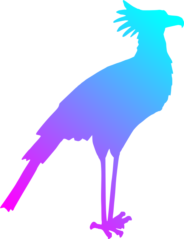 Secretary bird 2 (reduced file size)