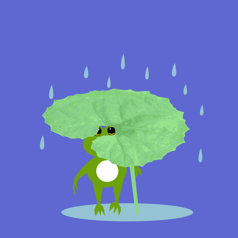 Frog taking shelter from the rain