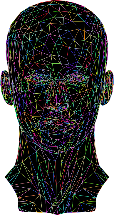 Prismatic Low Poly Female Head Wireframe
