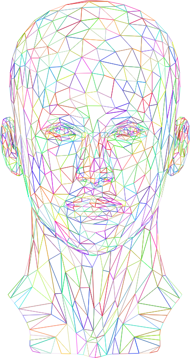 Prismatic Low Poly Female Head Wireframe No Background