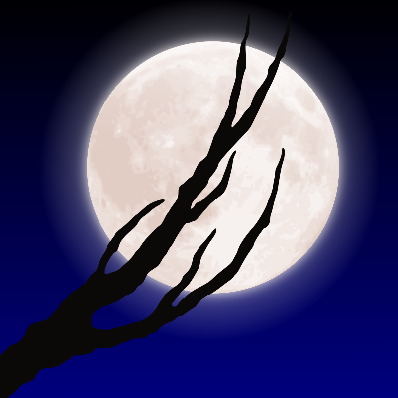 Moon and branch