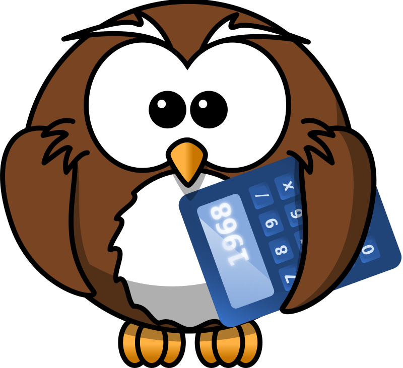 Owl with calculator