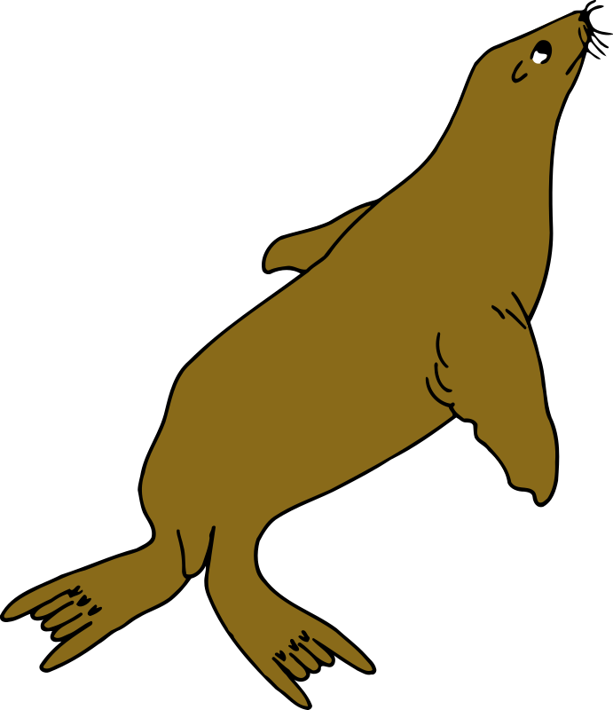 Seal (colour)