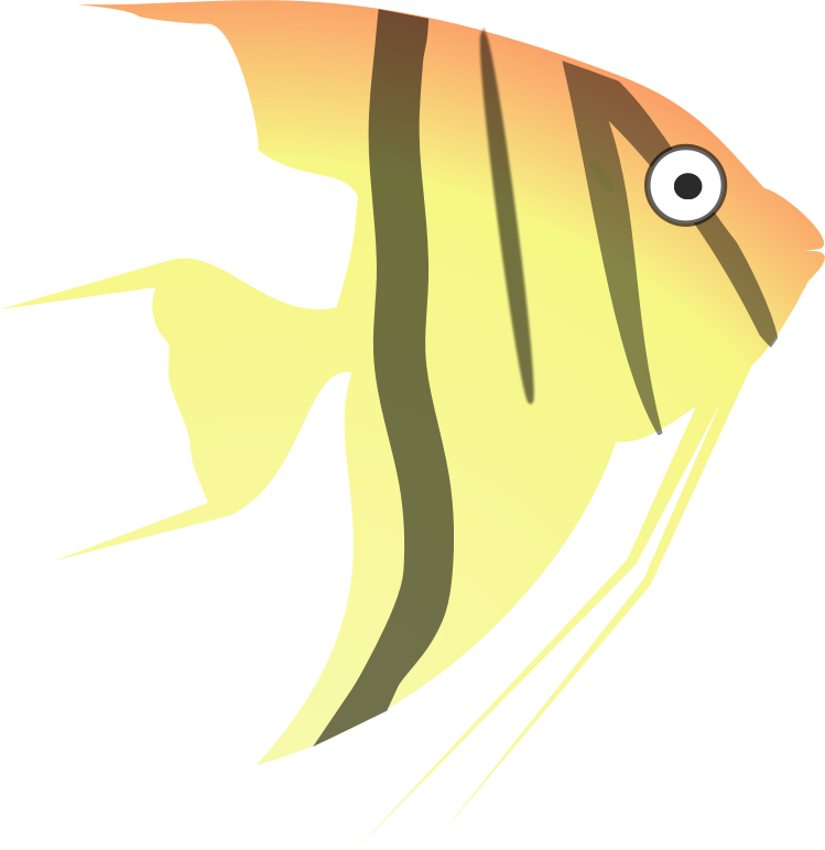 cartoon angel fish