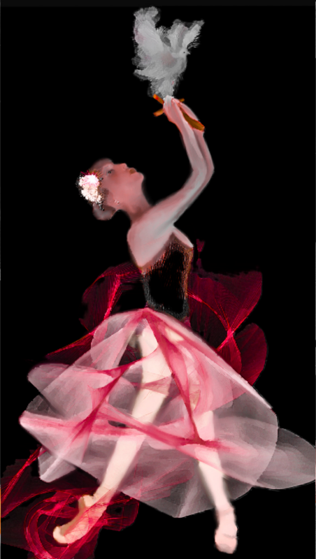 Ballet Festival Red Dove Ballerina Suite