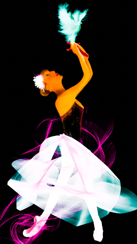 Ballet Swirl of Color Dove Ballerina Suite