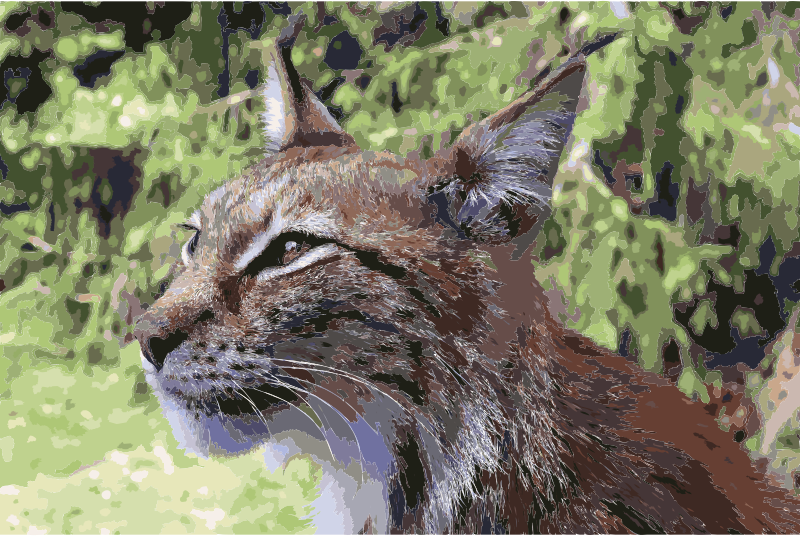 Lynx lynx-4