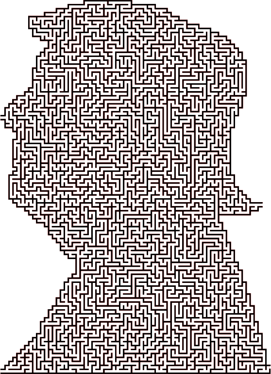 Trump Maze