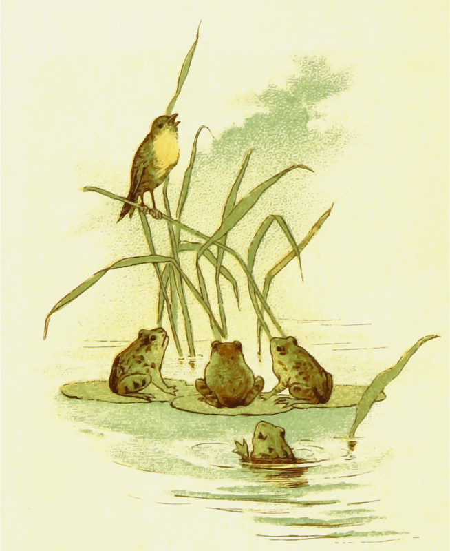 Bird with frogs