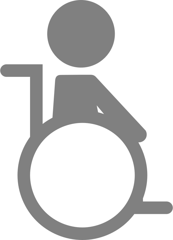 Person Wheelchair
