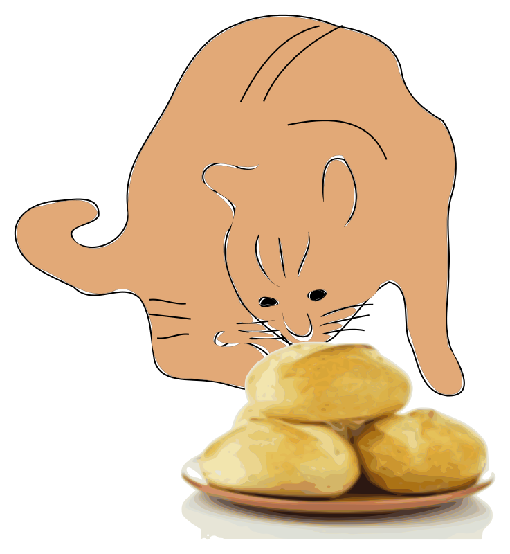 A cat smells bread.