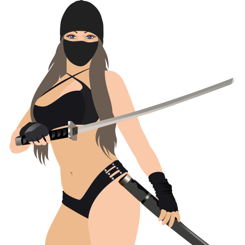Ninja Girl - REMIX