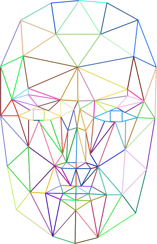 Prismatic Low Poly Wireframe Head No Background