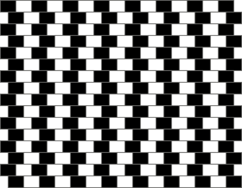 Visual illusion 2