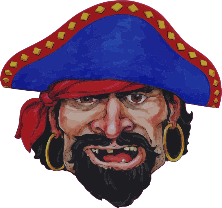 Realistic Pirate Illustration