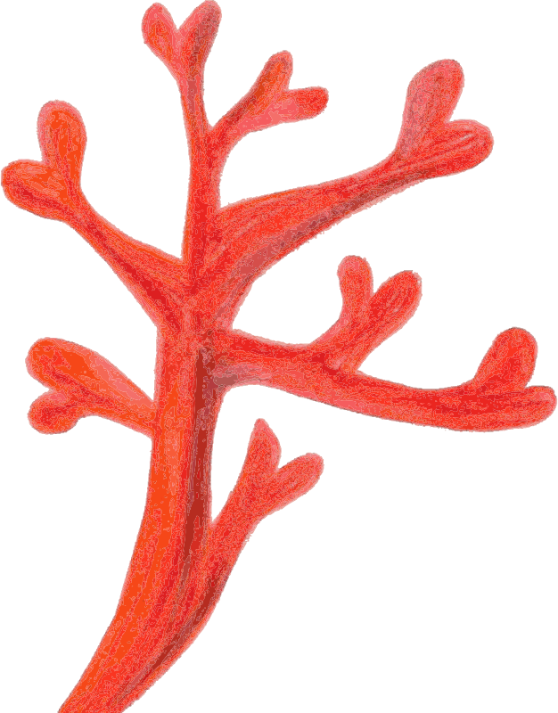 Painted Red Coral Traced