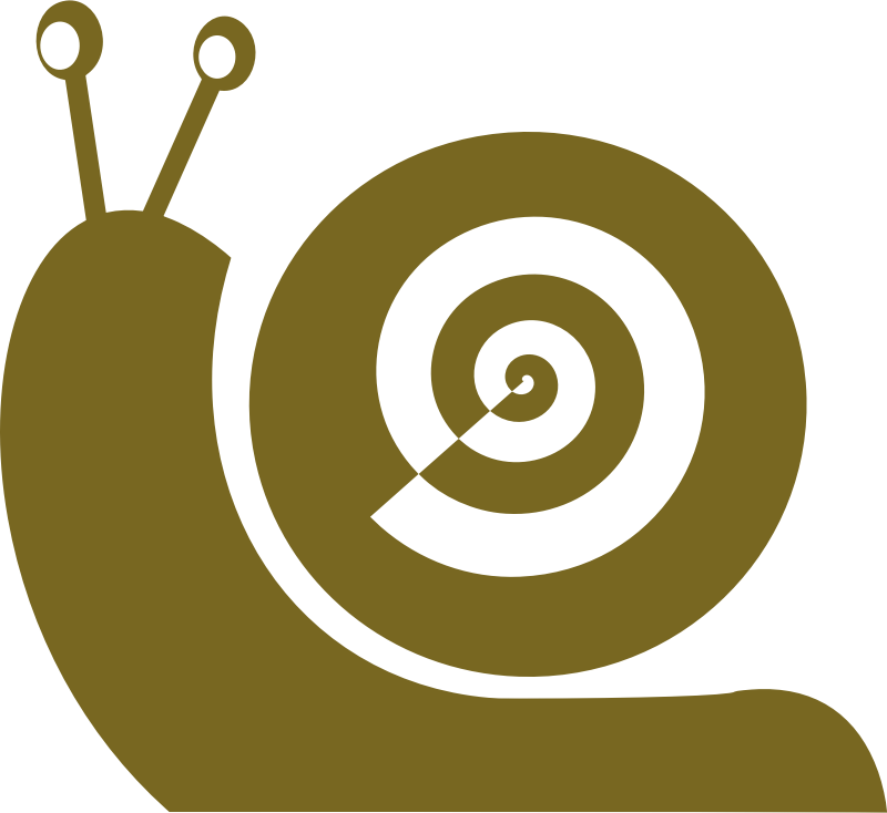 Snail vectorized