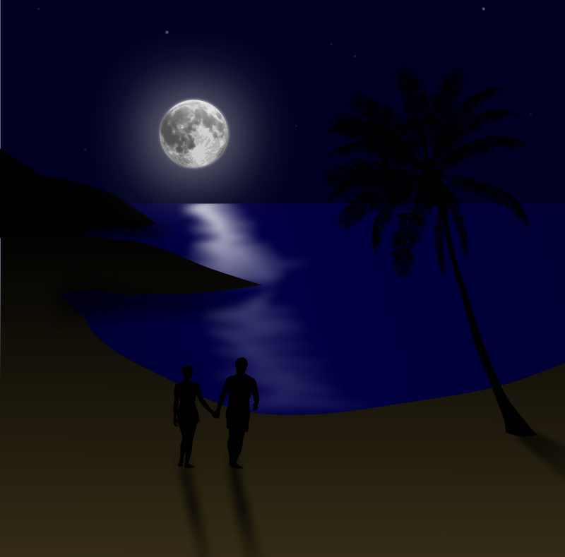 Moonlit beach couple