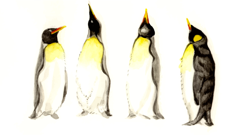cristieleung's Penguins vectorised