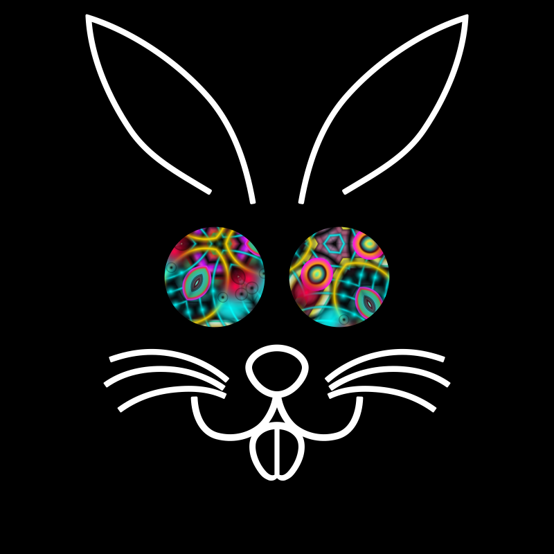 psychedelic bunny 3 (animated) 