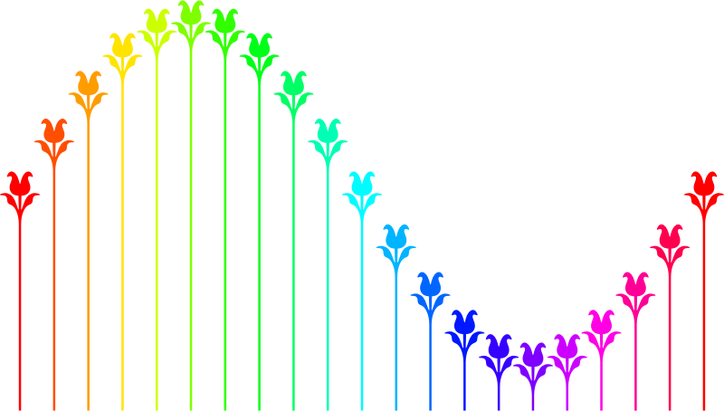 Flower sine curve (colour)