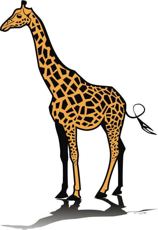 Giraffe (#1)