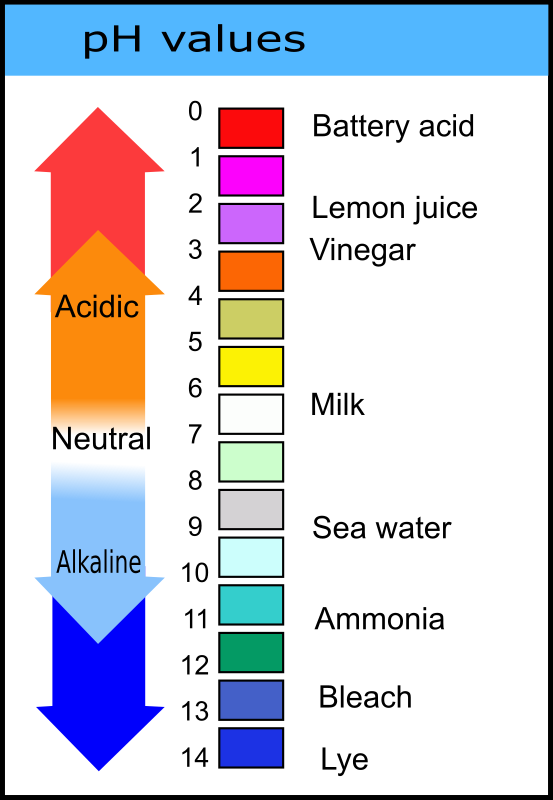 pH Values Chart